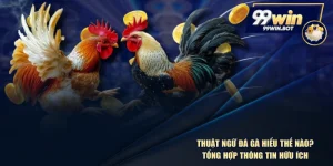 Thuật Ngữ Đá Gà