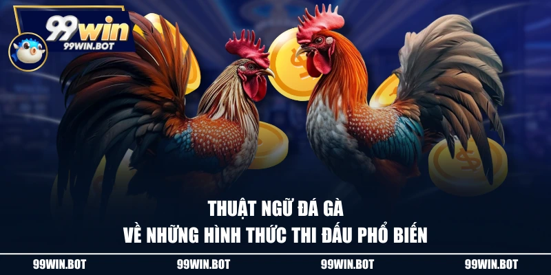 Thuật ngữ đá gà về những hình thức thi đấu phổ biến