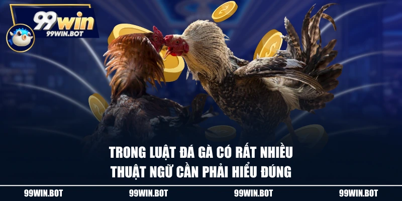Trong luật đá gà có rất nhiều thuật ngữ cần phải hiểu đúng